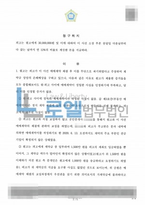판결문 이미지