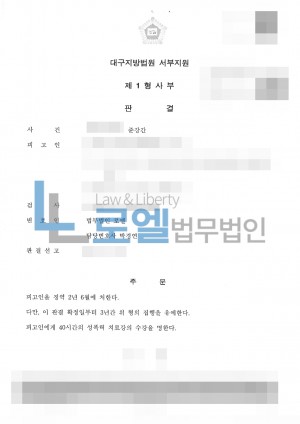 판결문 이미지